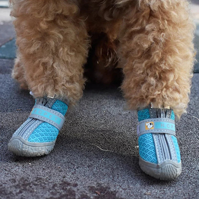 Shoes/Socks