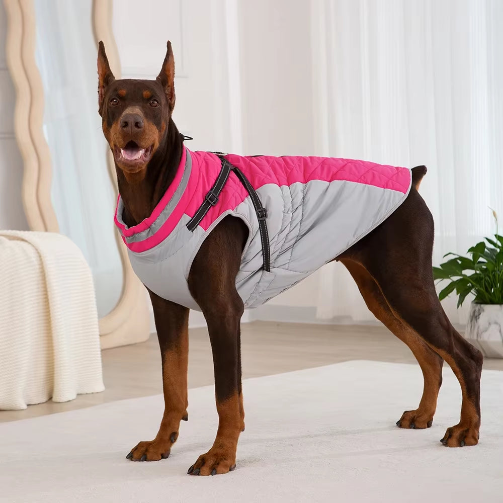 Waterproof Winter Jacket with Harness
