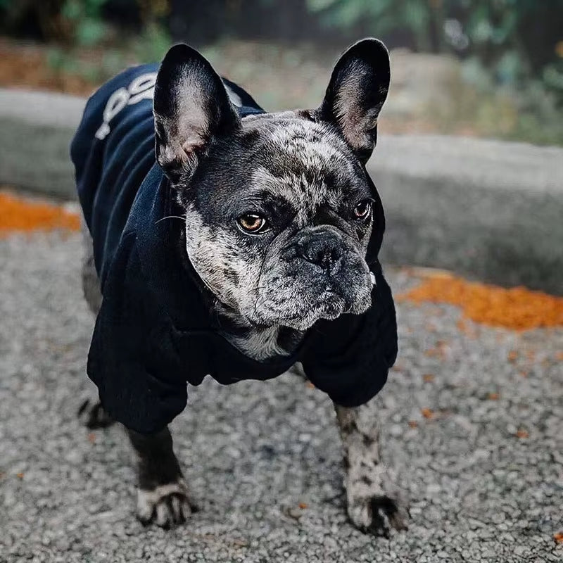 Adidog Hoodie - Warm Sweater