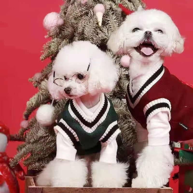 Winter Warm Pet Dog Sweater College Style V-Neck Puppy Knitwear for Small Dogs Puppy Vest Clothes Kitty Jacket Outfits
