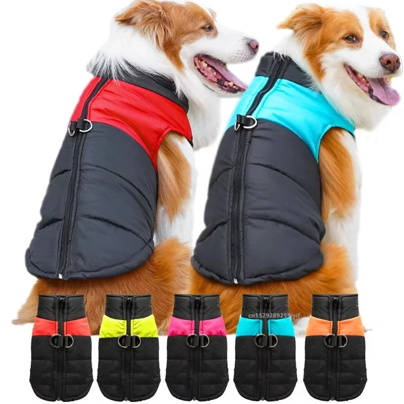 Waterproof Winter Zipper Jacket