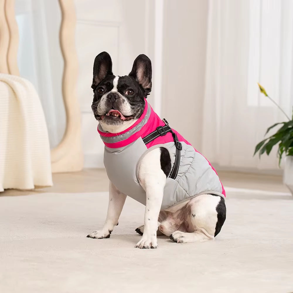 Waterproof Winter Jacket with Harness